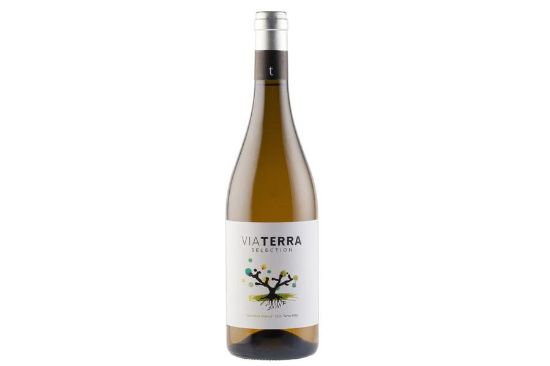 Billede af Hvidvin Via Terra Selection Blanc ØKO
